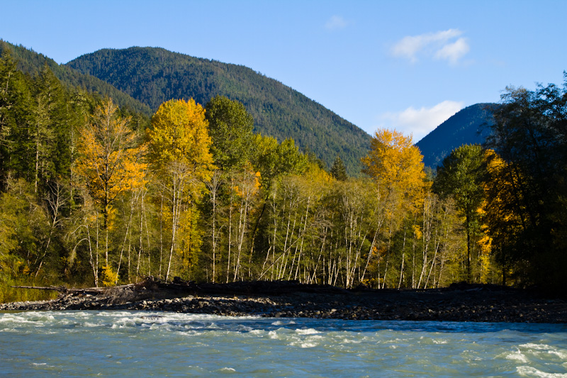 Fall Color Along The Elwha River